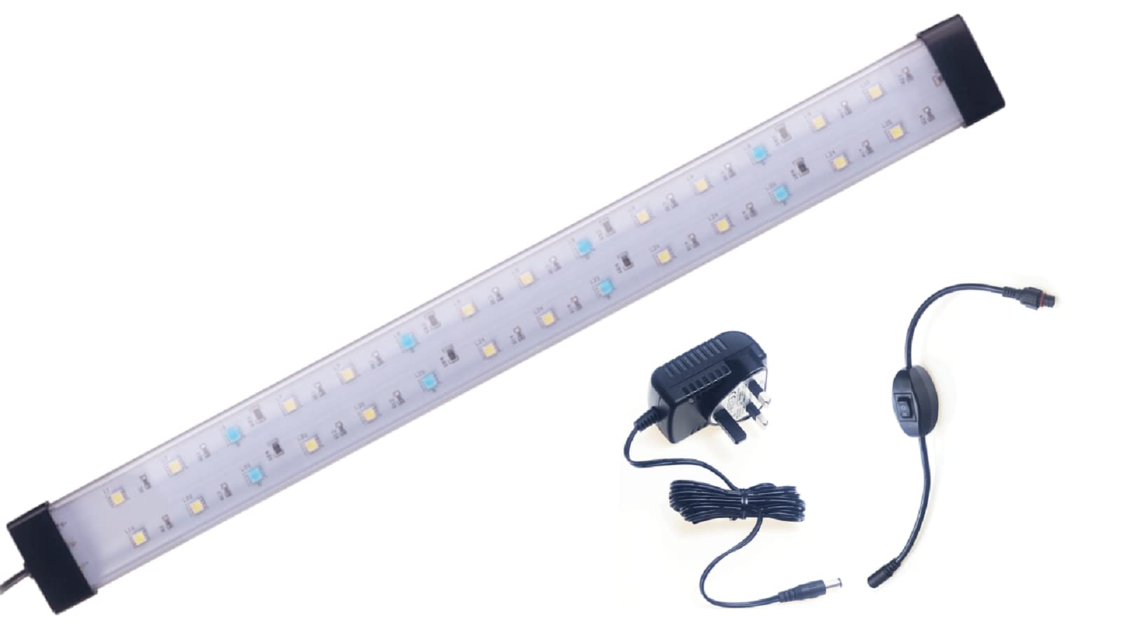 red sea lights for sale