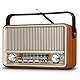 PRUNUS J-120 AM/FM/SW Retro Radio Klein, Kofferradio mit 1800mAh Akku, oder AC-Strom, Küchenradio Nostalgie Radio mit Bluetooth, Unterstützt USB/TF/AUX, Einfaches Radios für Senioren.[Hellgold]