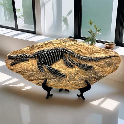 Mosasaurus dinosaure fossil model squelette simulé résine - 5