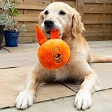 Good Boy Dog Toy Soft Space Lobber - Plushy Squeaker Dog Toy - Soft and Strengthened Fabric, Easy Grab Handles - Image 6