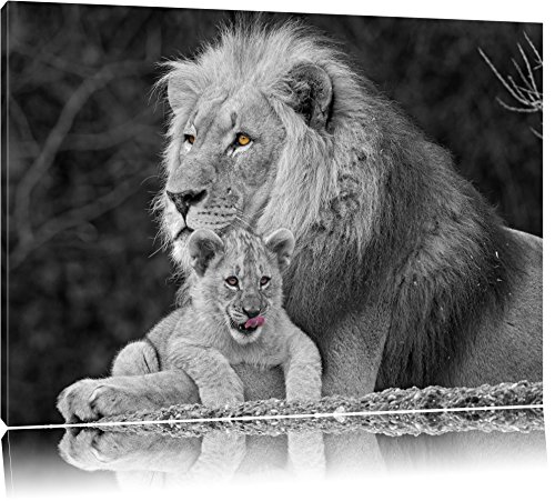 Pixxprint Lion Cub rannicchia con Piccolo Stampa