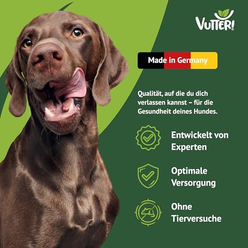 VUTTER ! Snack Wie Leberwurst, 10x110 g: Hundeleckerli Vegan. Pflanzliche Leckerlis. Belohnung für Hunde. Leckerli ohne tierische Proteine. Glutenfrei auf Reismehlbasis. Ohne Zucker & Farbstoffe