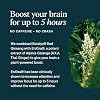 Ora Organic - Brain Health Supplement for Focus, Mental Energy + Memory - Panax Red Ginseng, Bacopa Monnieri, Alpha GPC, EnXtra - Third-party Tested & Caffeine-free - 60 Capsules