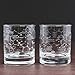 Greenline Goods Whiskey Glasses - 10 oz Tumbler Gift Set – Science of Whisky Glasses (Set of 2) Etched with Whiskey Chemistry Molecules | Old Fashioned Rocks Glass
