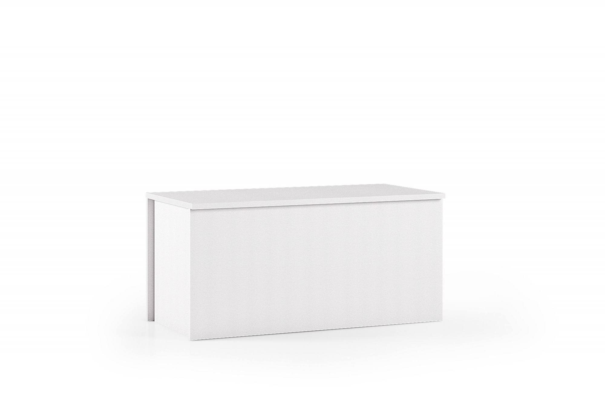 Dmora Baule Miltonia 45x90x45h cm Bianco Chiusura Soft Close Peso Supportato 40 kg, Materiale Piano in Legno Nobilitato Made in Italy