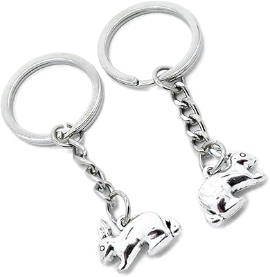 100 Pieces Keychain Keyring Door Car Key Chain Ring Tag Charms Supplies Y2JB9C Rabbit Hare Easter