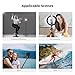 K&F Concept 69''/175cm Iphone Selfie Stick Tripod, Compact Tripod with Phone Holder, Light Stand with Detachable Remote Control, Action Camera Adapter, Compatible with Phone/GoPro/Camera K&F Concept 69''/175cm Iphone Selfie Stick Tripod, Compact Tripod with Phone Holder, Light Stand with Detachable Remote Control, Action Camera Adapter, Compatible with Phone/GoPro/Camera