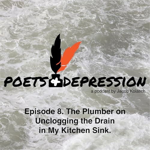 Episode 8. The Plumber on Unclogging the Drain in My Kitchen Sink.
