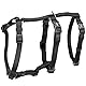 Trixie Geschirr Stay L-XL: 75-100 cm/25 mm, Schwarz