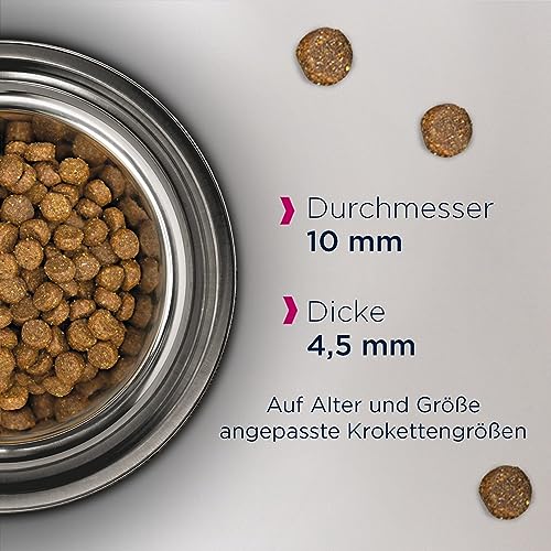 Eukanuba Katzenfutter trocken getreidefrei - Premium Trockenfutter mit viel Lachs für ausgewachsene Katzen, 2kg