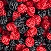 American Best Food Red Raspberries and Blackberries Gummy Candy, Red and Black Berries Candy In Jar, 1.5 Pound