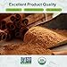 Soeos Cinnamon Powder Organic, 15 Ounce (425g) Bottle, Ground Cinnamon Powder, USDA, Non-GMO and Kosher Certified, Seasoning Spice for Tea, Coffee, Baking, Desserts, Cooking and Beverages