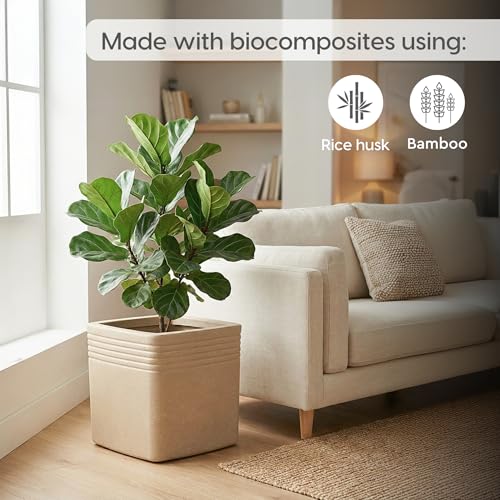 Image of Eha Earth Friendly Portico Big Planters for Home Decor | 15 inch, Pack of 1 | Heavy Duty Plant Pot Made with Rice Husk & Bamboo Biocomposite | UV Protected Pot for Plant | Pots & Planters Big Size