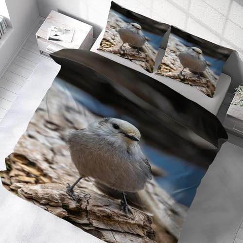 Housse couette en microfibre douce 200x200 avec zip motif oiseau mésange - 5
