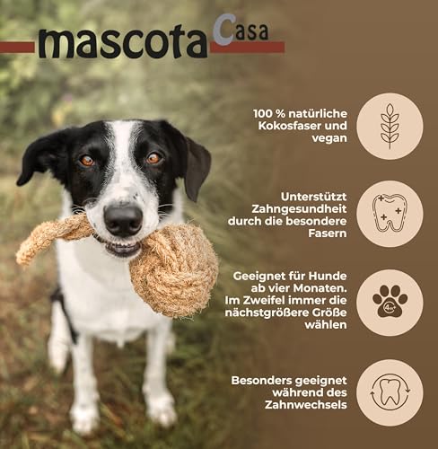 mascota casa - Natürliche Hundeseil Spielzeug aus 100% Kokosfaser – Nachhaltiges Kauspielzeug, Zahnpflege-Support beim Zahnwechsel, Robustes und Umweltfreundliches Hundespielzeug (Coco Ball, Large)
