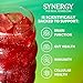 SYNERGY The Real Kombucha Trilogy Kombucha - 16 fl oz Bottle - Raw Probiotic Drink for Gut Health and Immune Support