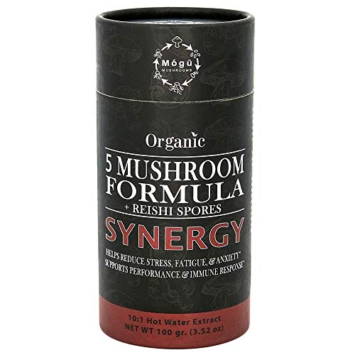 Synergy - 5 Mushroom Formula + Reishi Spores 10:1 Extract Powder - USDA Organic - Reishi, Reishi Spores, Turkey Tail, Chaga, Maitake and Cordyceps militaris - 100% Fruiting Bodies (100g container)