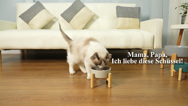 Keramik Katzenfutternapf Doppelset Mit Holzständer - Mattgrün & Gelb