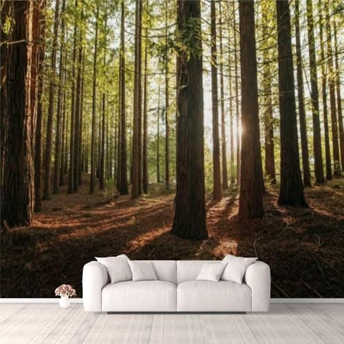 Papier peint panoramique forêt 3D autocollant pour déco de chambre