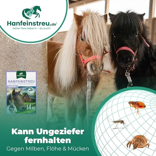 Hanfeinstreu mit Lavendel für Kleintiere, Hühner und Pferde, 30 Liter, 100% Naturprodukt, Extrem Saugfähig, Staubarm, Geruchsbindend, Nachhaltig und Langlebig