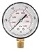 Pressure Gauge, Test, 2-1/2 in