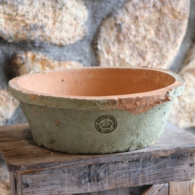 Gotthard Steglich工房コウノトリライダー／ドイツ　ザイフェン Gotthard Steglich工房コウノトリライダー／ドイツ ザイフェン