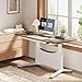 COLAMY LumiDesk All-in-1 Electric Standing Desk, Height Adjustable Desk (MFC Desktop, Walnut + White)