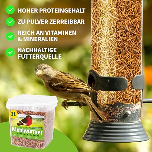 Getrocknete Mehlwürmer für Tiere, 3L, proteinreich und naturbelassen