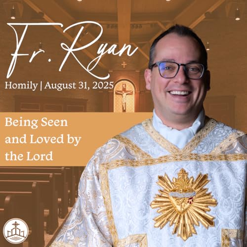 581. Fr. Ryan Homily - Being Seen and Loved by the Lord cover art