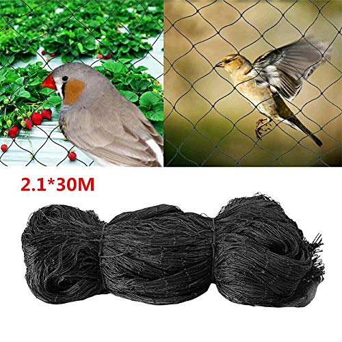 evergreemi 2.1×30M Anti-bird Net,Garden Plant Protection Mesh,Garden Nylon Thick Mesh Netting for Outdoor Orchard Fruits Berries Flowers Protection and More