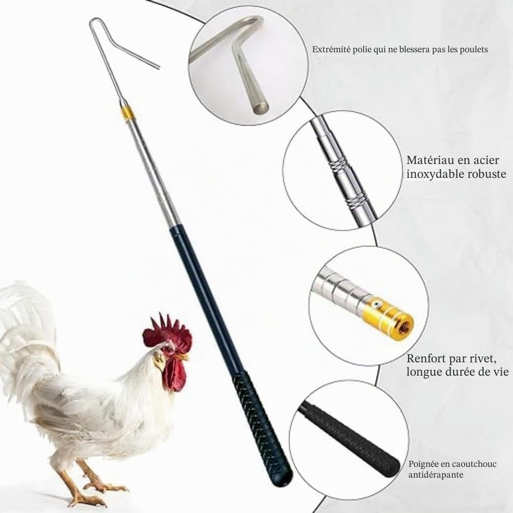 Kit 2 en 1 avec crochets et filet de pêche rétractables pour volailles, crochets en acier inoxydable, pour volaille, poulet, dinde, oie, canard, oiseaux, petits animaux et poissons