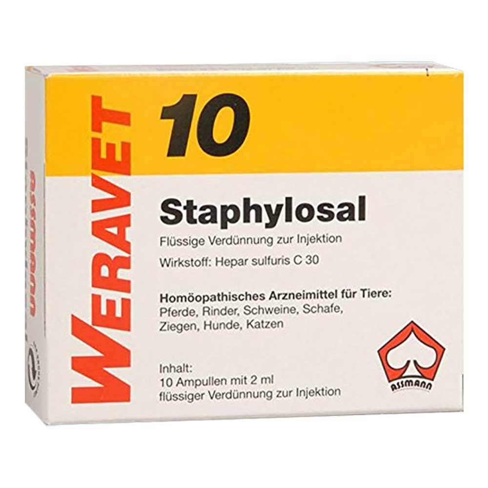 WERAVET Staphylosal Ampullen Staphylosal Ampullen 10x2 ml mit Schutzkappe
