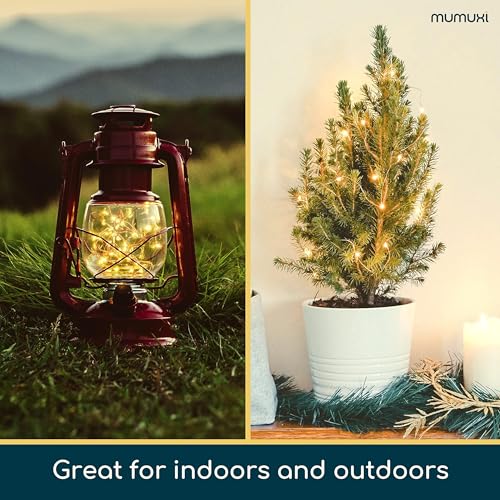 LED Fairy String Lights for Party Wedding Decor - 20 Pack
