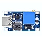 RASBEE Type C DC-DC 2A Boost ステップアップ 転換モジュール 2V-24V to 5V-28V MT3608 ブースターモジュール 昇圧ボード 電圧変換器 調整可能