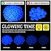Sasylvia 3000 Pcs Glow in The Dark Rocks 1 Inch Glow Rocks 12.6 LB Garden Glow in The Dark Stone Outdoor Glow in The Dark Pebbles for Landscaping Walkway Pathway Backyard Fish Tank Plant (White)