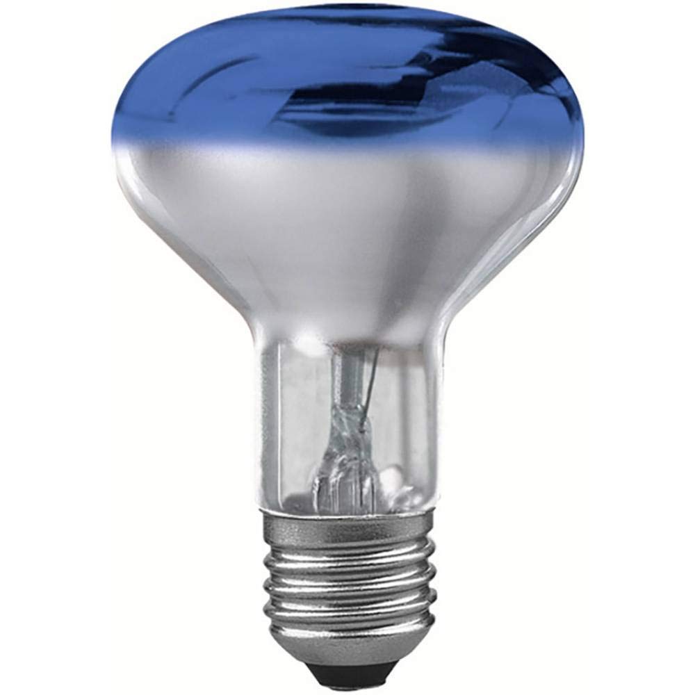 Paulmann 250.64 iluminación reflector bombilla incandescente R80 60W E27 azul 25064 bombilla