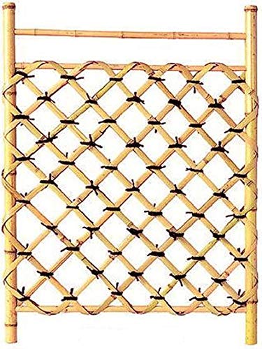 yYVRz|}܌ W()750mm×H()1000mm El | d؂