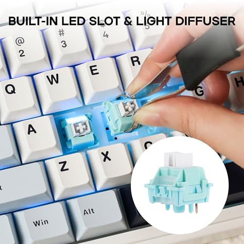 Image of MechLands LEOBOG Ice Vein 100 Pcs 42gf Linear Keyboard Switches, Pre-Lubed 5-Pin Switch with POM Stem, Light Diffuser for Mechanical Gaming Keyboard, Compatible with MX Keycaps