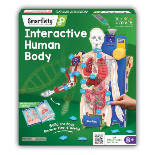 Smartivity Interactive Human Body Model for Kids 8-14 Years I Dyn...