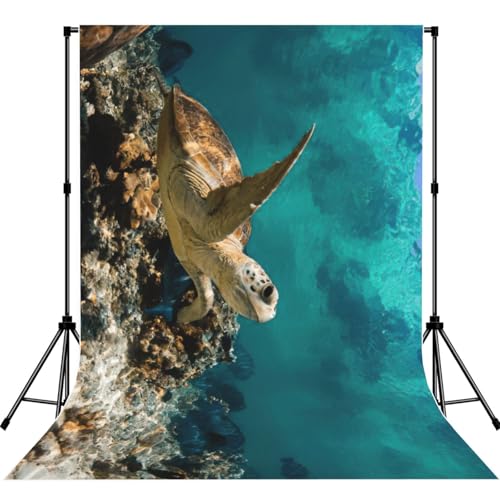 Toile de fond tortue de mer 1 pour photo de studio réaliste