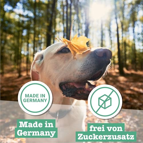 Chewies Hundeleckerli Training Mini Pansen Knöchelchen - 125 g - Hundesnacks zuckerfrei & mit hohem Fleischanteil - ideal als Trainings-Leckerli für Ihren Hund