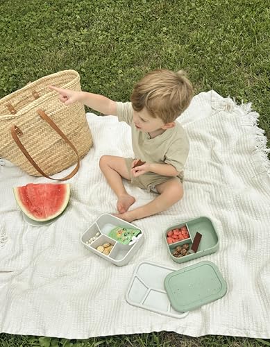 Image of Ullabelle Silicone Bento Box |Portable, Leak Resistant, Food-Grade (green confetti bento), Standard