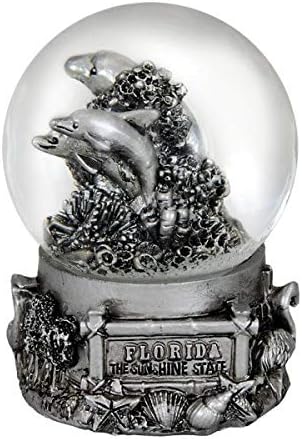 Americaware PSGFLA65 Florida 65 mm Snow Globe