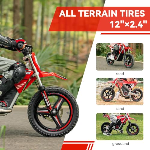 TUIBOKA 36V Electric Dirt Bike