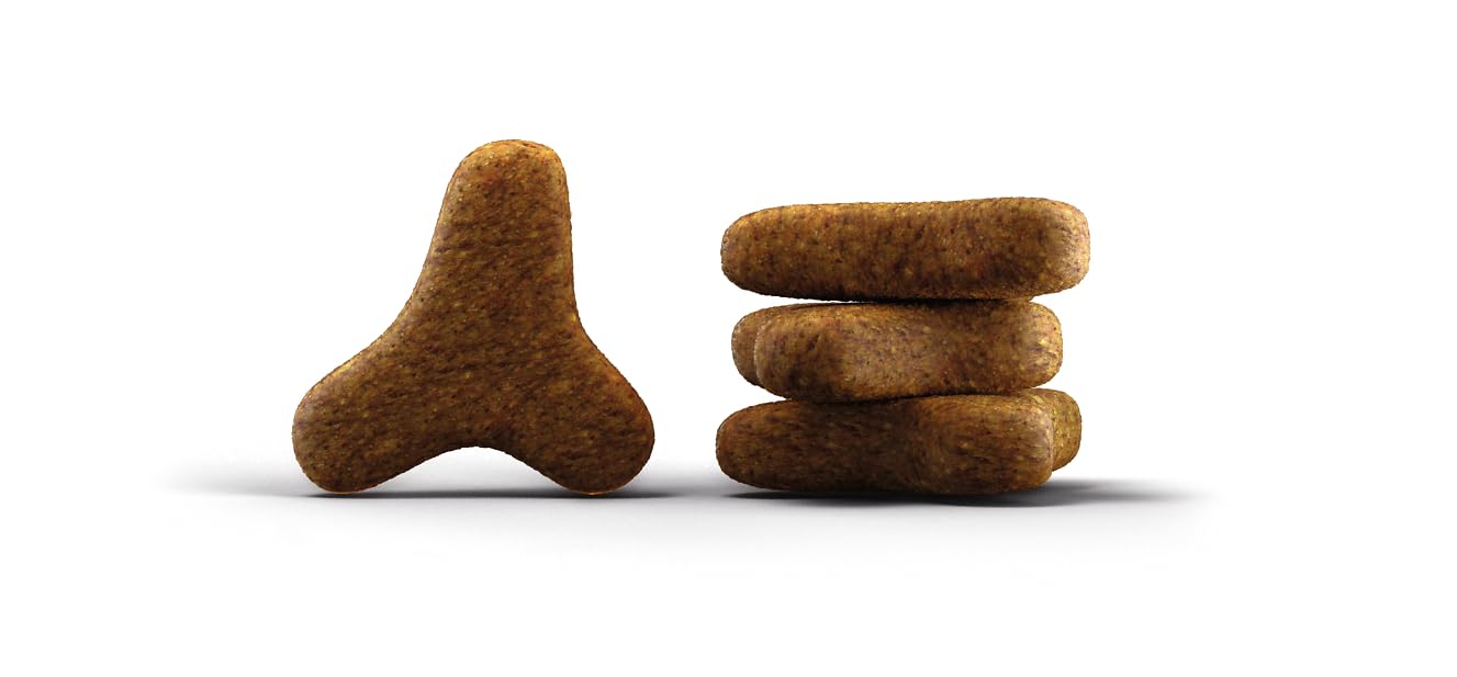 JOSERA Culinesse (1 x 10 kg) | Adultos | Pienso seco Gatos Adultos exigentes | Salmón y Aves | Fácil de digerir | Contenido moderado en Grasas | Sin Trigo | Pack 1