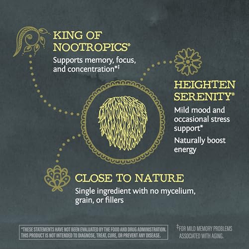 Sunwarrior Lions Mane Supplement Organic Mushroom Powder | Lion's Mane Powder Focus Supplement Mushroom Tea | 150g Pouch 60 Servings | Be Well - Image 5