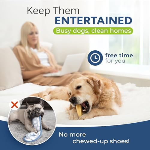 Chewster Käsestangen für Hunde - Kaukäse Hundeknochen - Langer Kauspaß aus natürlicher Milch - Käse-Kauknochen (410 g, XXL, 2er Pack)