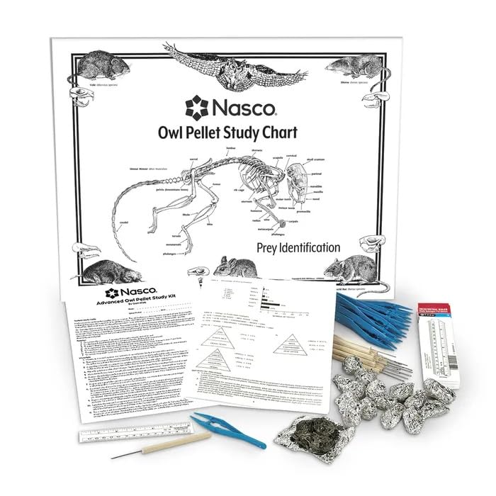 Nasco Advanced Owl Pellet Kit
