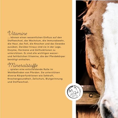 Annimally Senior Mineralfutter Pferde getreidefrei - Ergänzungs Pferdefutter für Senior Pferde mit Vitaminen, Mineralstoffen und Spurenelementen, wie Zink, Selen, Omega 3 & Jod (3 kg Eimer)