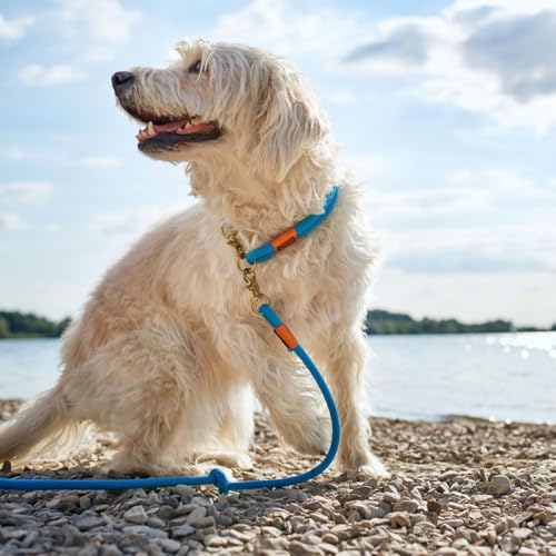 HUNTER Oss Halsung, Halsband für Hunde, Tau, Seil, Messing-Karabiner, Maritim, Petrol, L